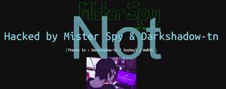 Dissecting Mister Spy Bot website hack