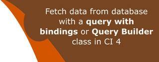 Database queries with bindings and Query Builder essentials in CodeIgniter 4